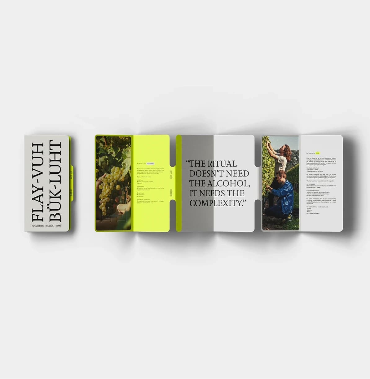 Shwung tasting notes card booklet and product information sheet laid flat, showing the typographic system applied to print collateral.
