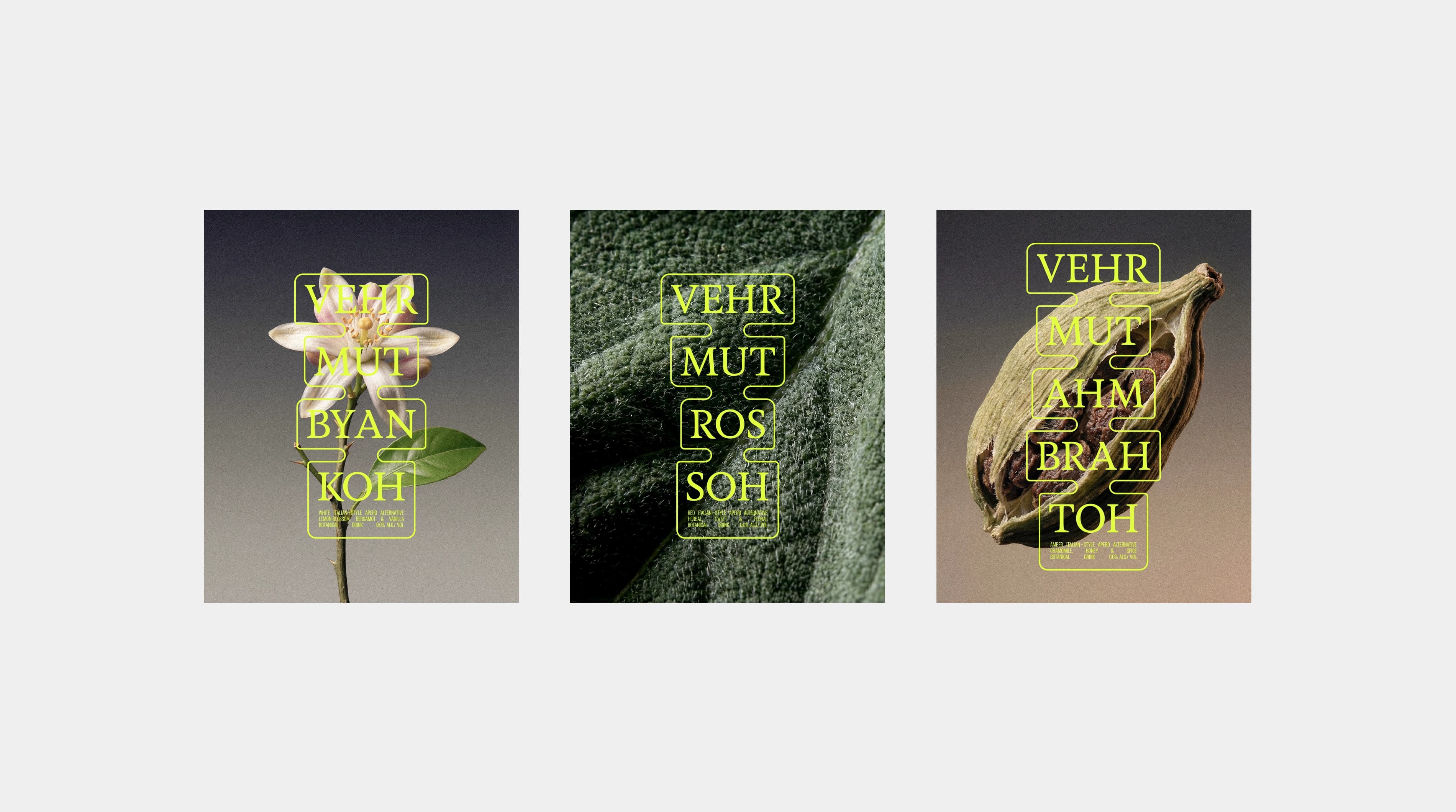 Grid of natural ingredient close-ups including grapes, a flower and cocoa pods, used as reference imagery in the Shwung visual system.